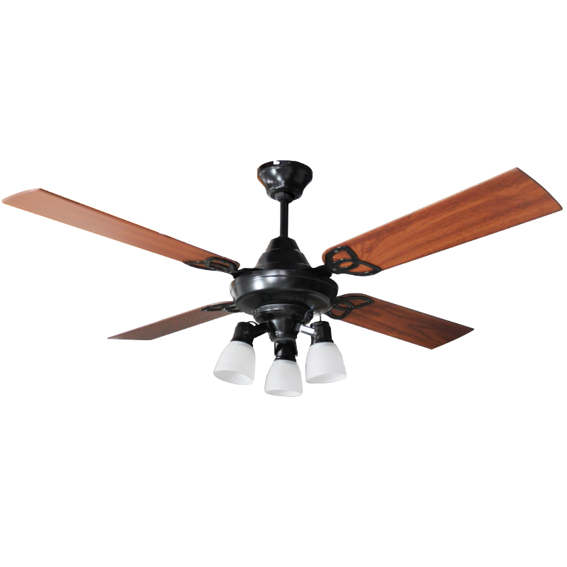 Ventilador De Techo Premium Negro Con Spot Punta Vidrio y Palas