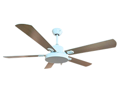 Ventiladores de techo